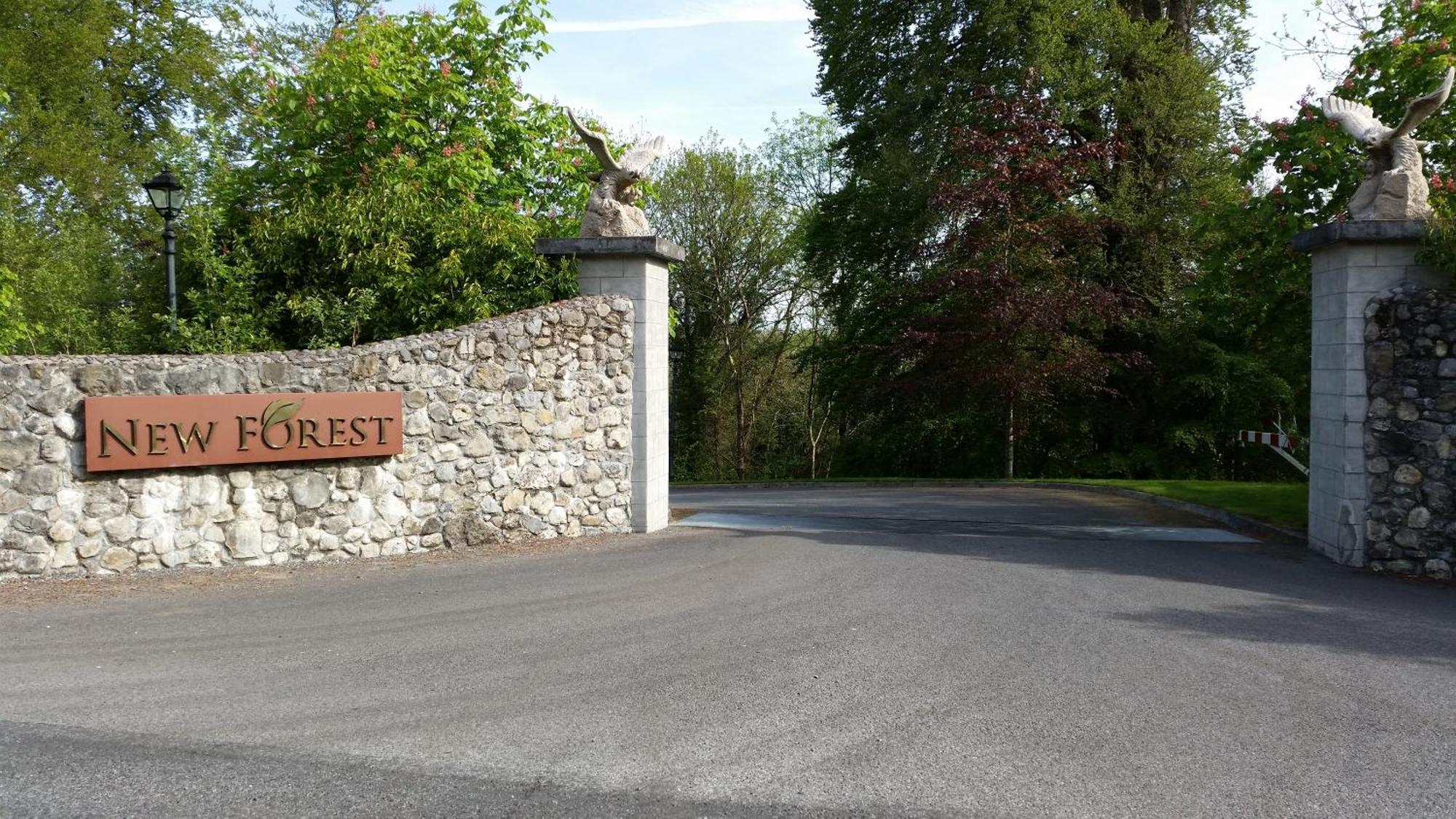 New Forest Estate Lodges Tyrrellspass Zewnętrze zdjęcie