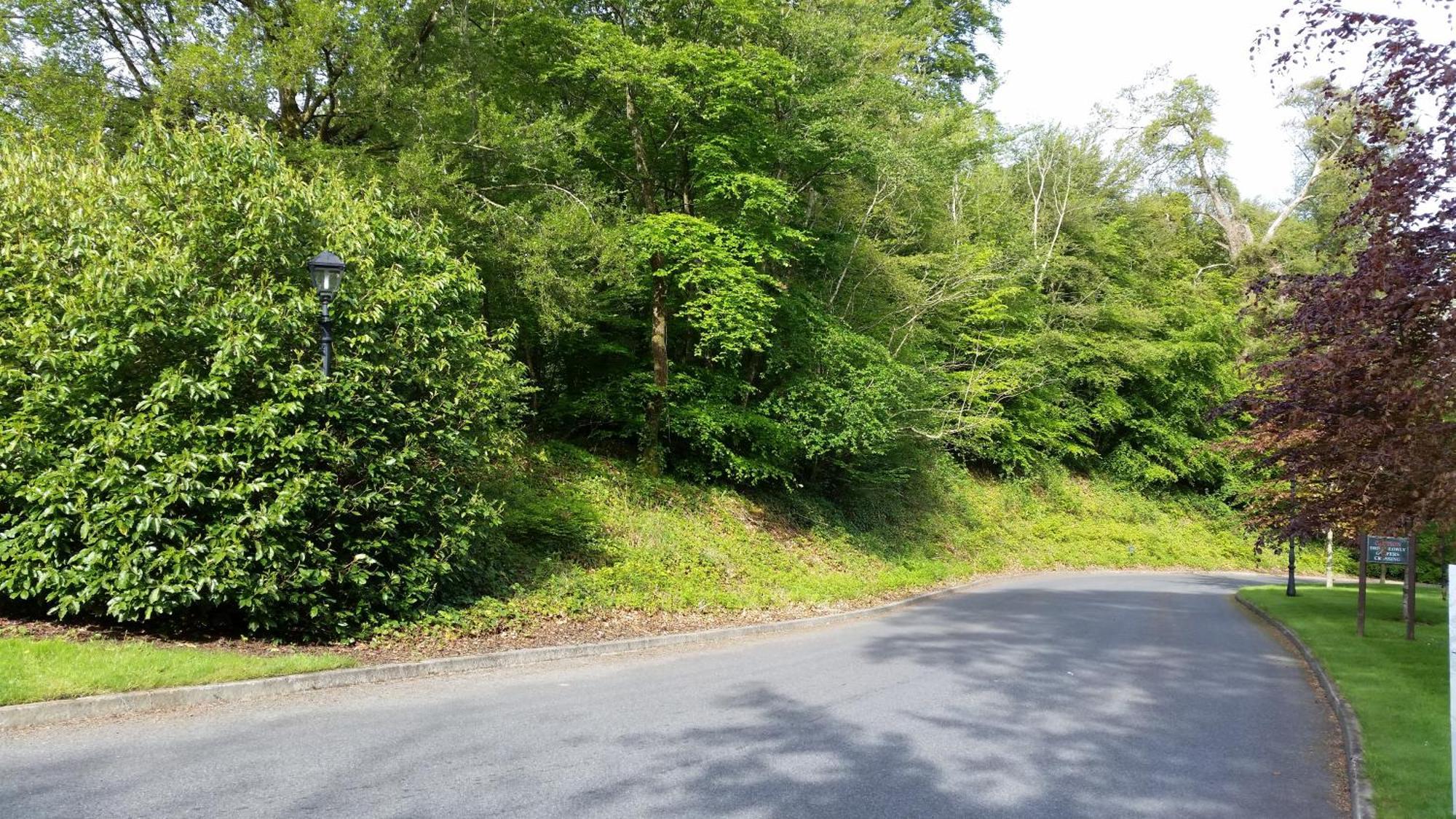 New Forest Estate Lodges Tyrrellspass Zewnętrze zdjęcie